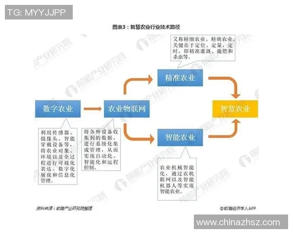 竞技SUP运动崛起与发展探索：挑战、机遇与未来趋势分析