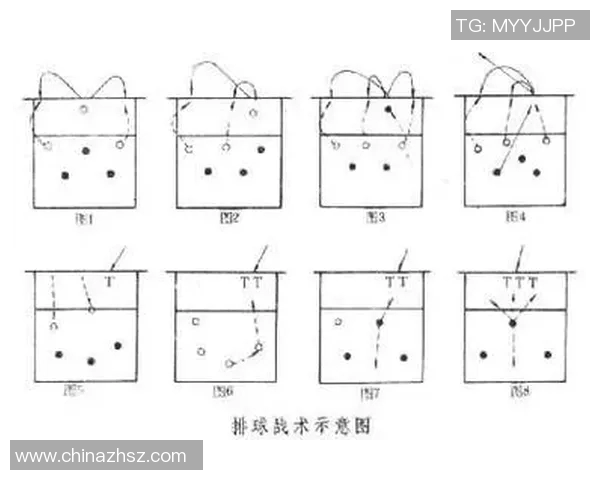 重庆排球队反击战术解析与未来发展展望